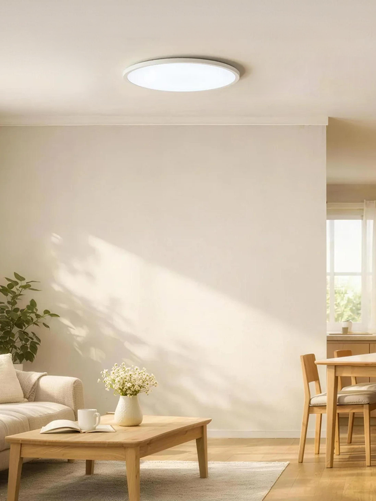 おうちに、太陽を