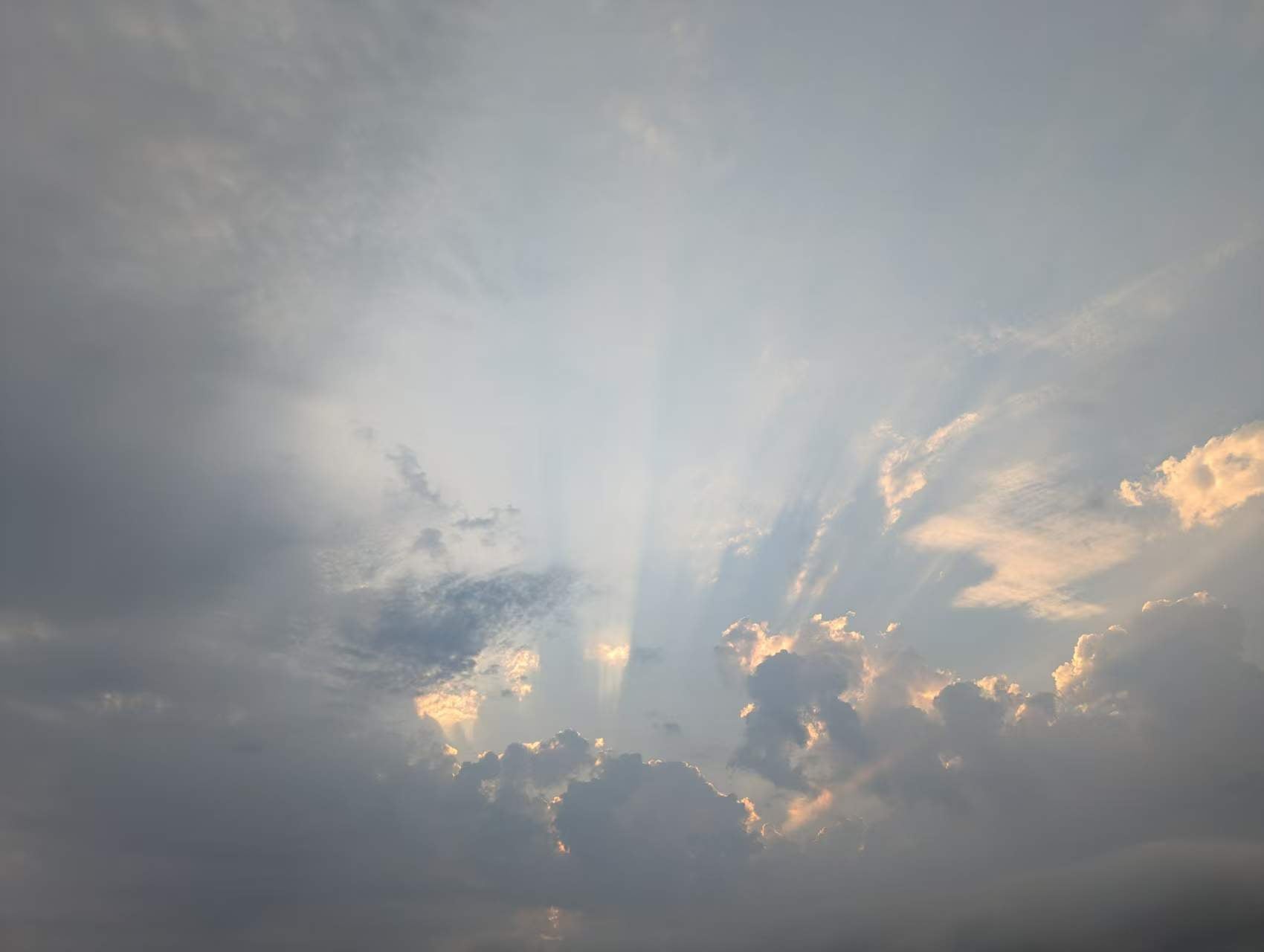 太陽の光を、そのまま部屋に。